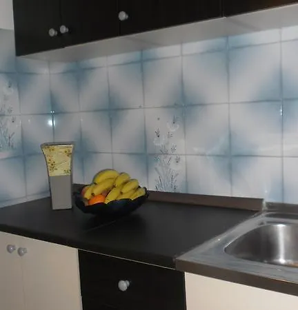 Apartmán Danica Višnjan
